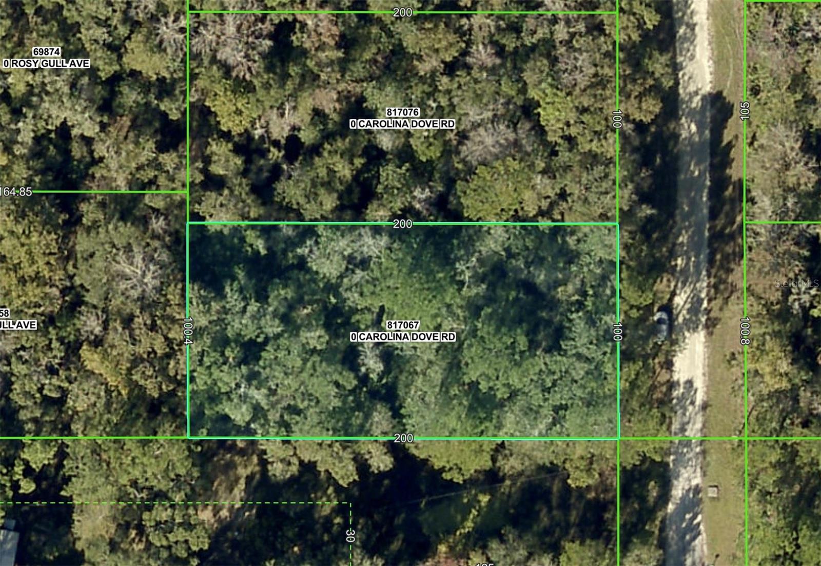 Lot 3 CAROLINA DOVE RD - Photo 1