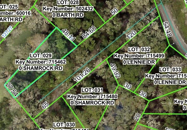 SHAMROCK RD - Photo 1