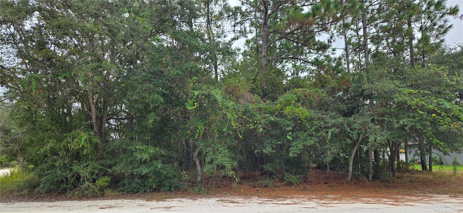 13476 CANADA GOOSE RD - Photo 1