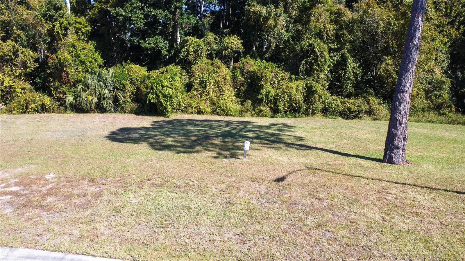 FOREST GLENN DR - Photo 1