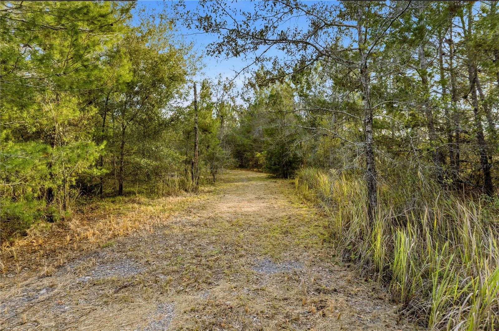 0 BACKWOODS WAY - Photo 1