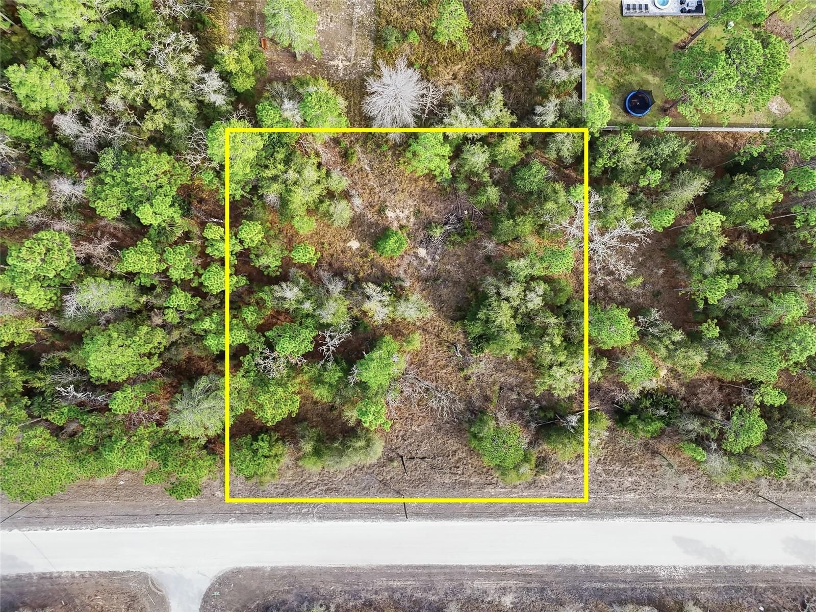 CHIMNEY SWIFT RD - Photo 1