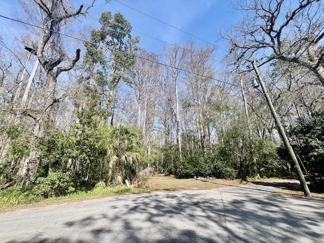 0 SOUTHWOOD CT - Photo 1