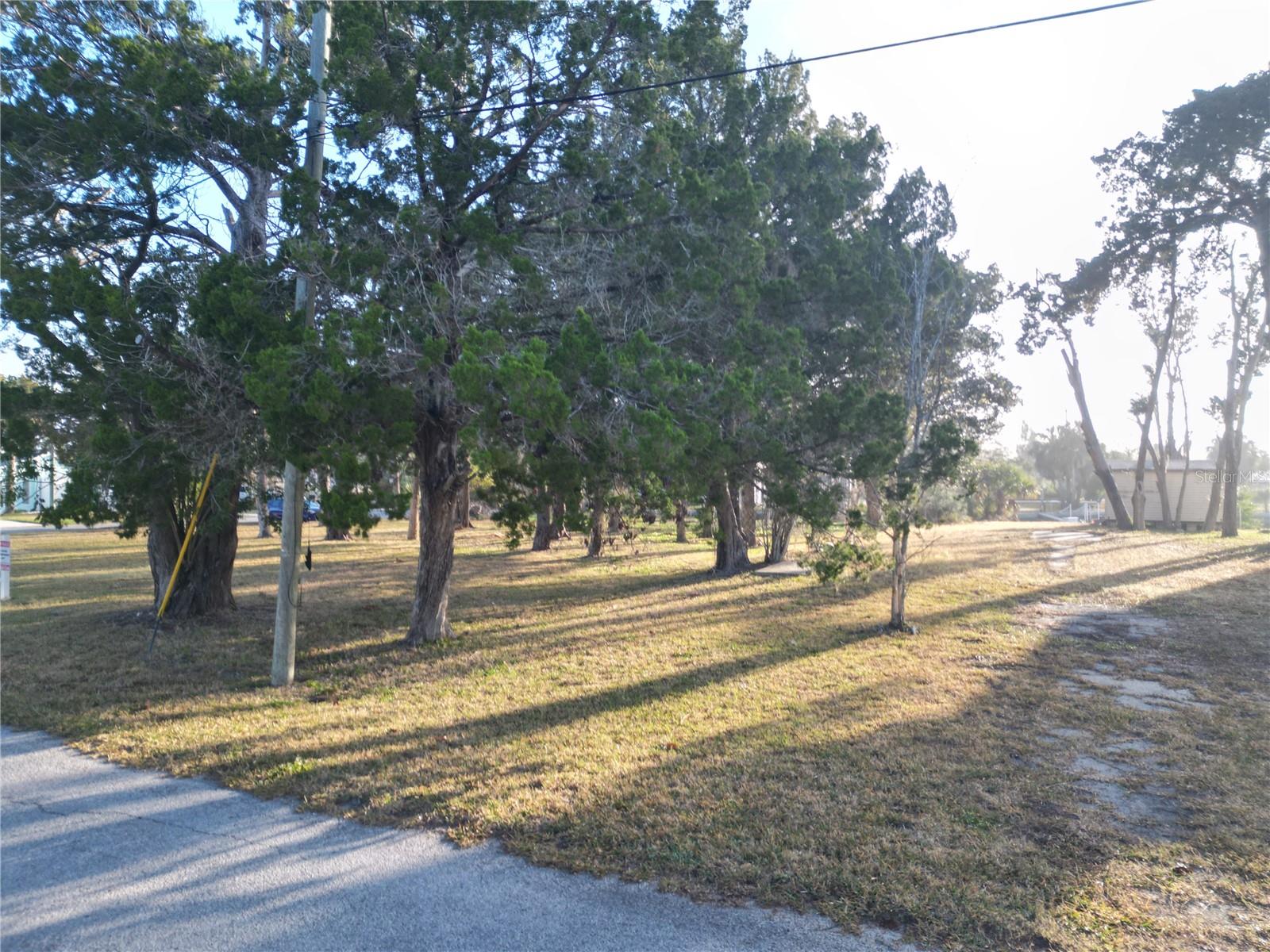 14434 BIRCH ST - Photo 1