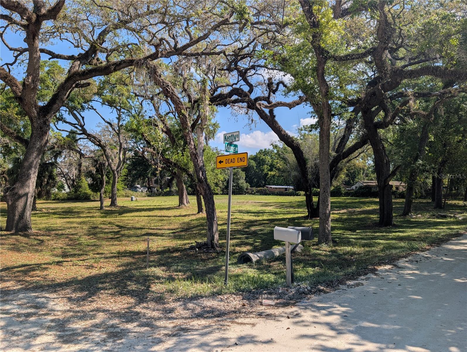 8519 ADONIS RD - Photo 1