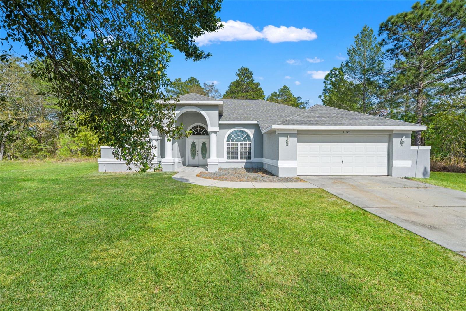 11128 LOMITA WREN RD - Photo 1