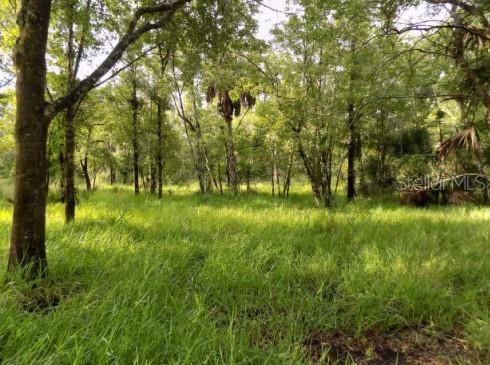5001 WHIPPOORWILL DR - Photo 1