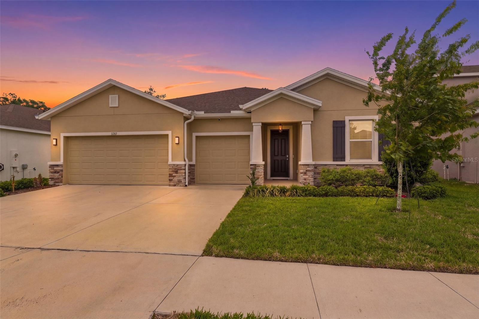 3787 AUTUMN AMBER DR - Photo 1