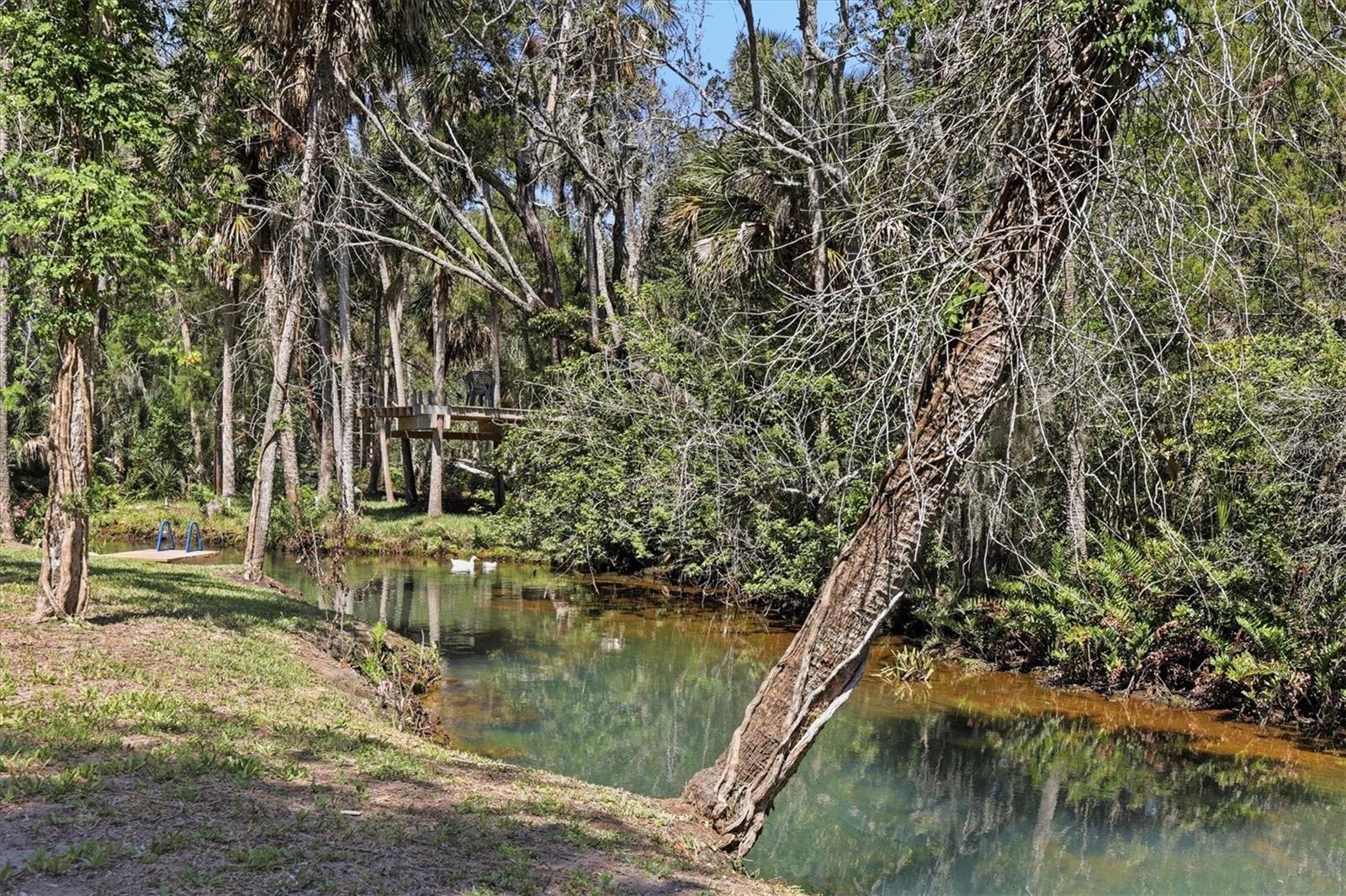 6240 COLONY CIR - Photo 1