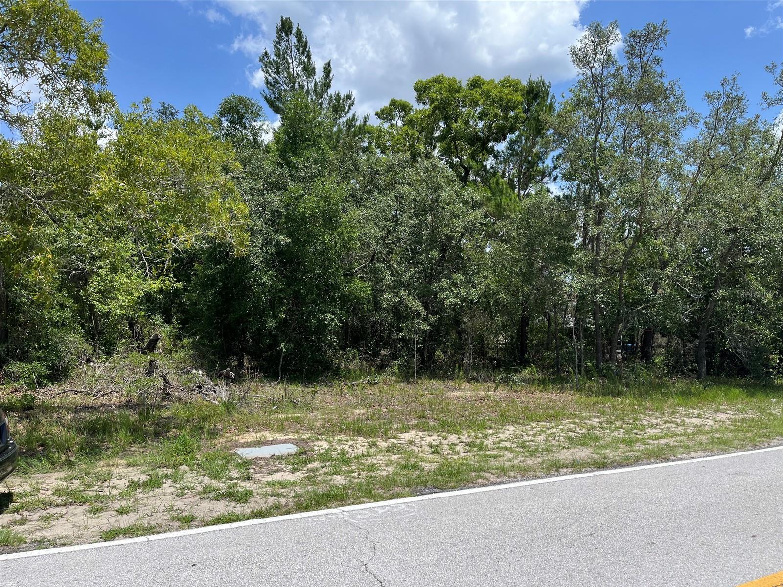 PINEHURST DR - Photo 1