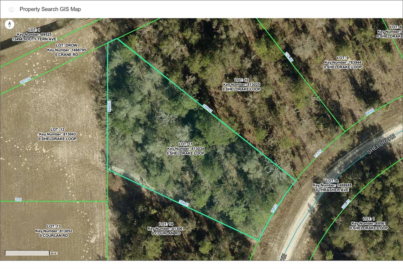16139 SHELDRAKE LOOP - Photo 1