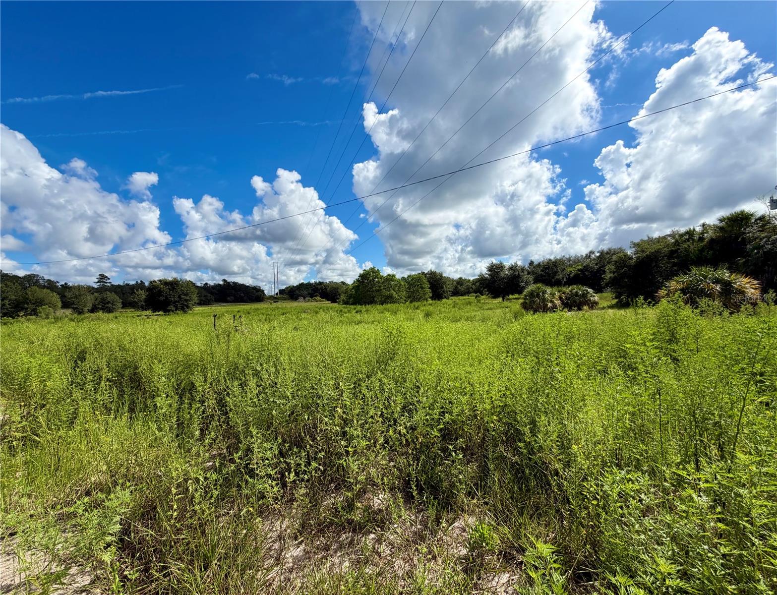 13331 TREATY RD - Photo 1