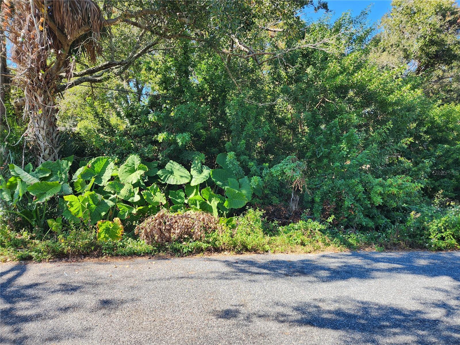 00 ATIS ST #Lot #9 - Photo 1