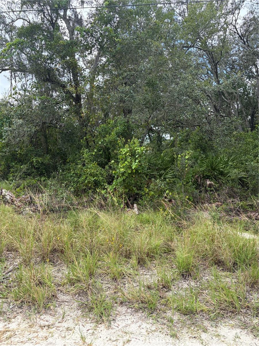 10333 GILMER - Photo 1