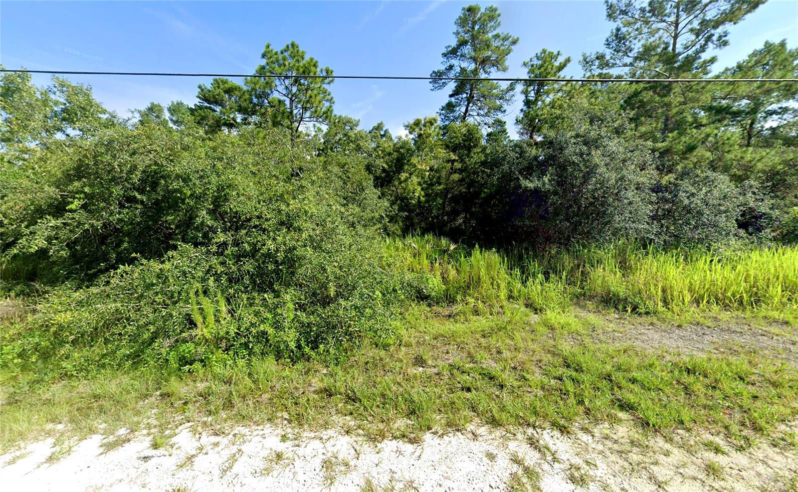 7301 BAHAMA SWALLOW AVE - Photo 1