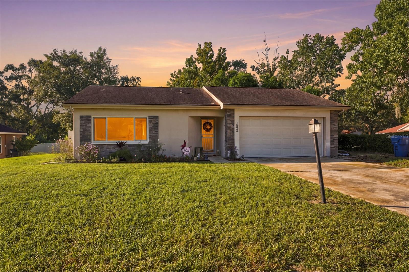 10048 AMIDON ST - Photo 1