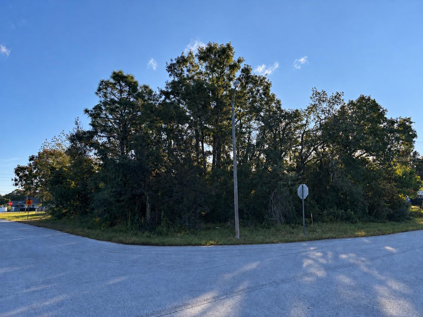 Lot 1 MAYFLOWER RD - Photo 1