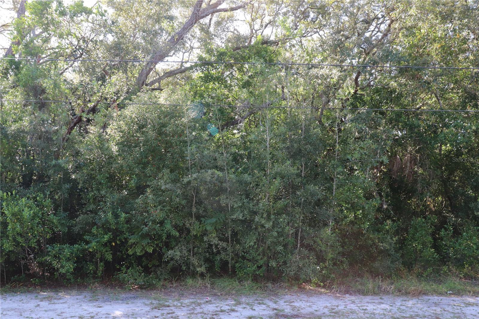 1221 SYLVIA AVE - Photo 1